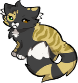 Cloverfall