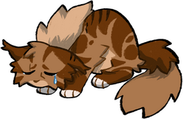 Firespots